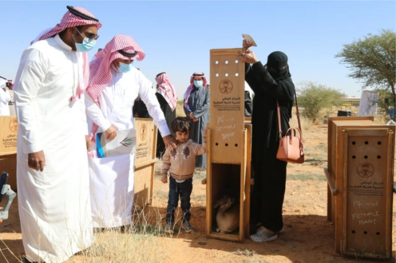 إطلاق الغزلان بإحدى المحميات (مكة)