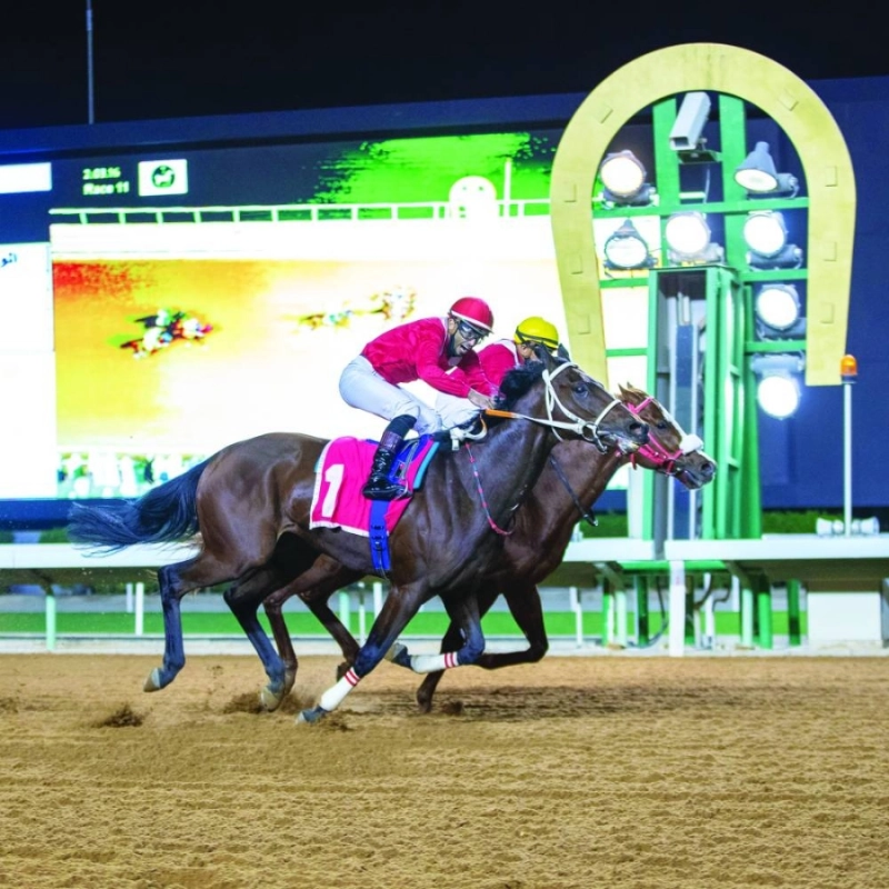 من سباقات الخيل السعودية (مكة)