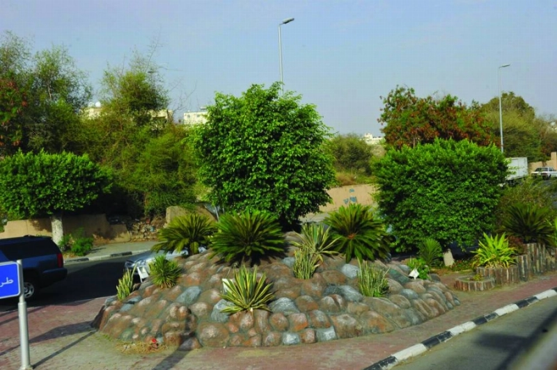 ميادين الطائف تتزين بالمسطحات الخضراء (مكة)