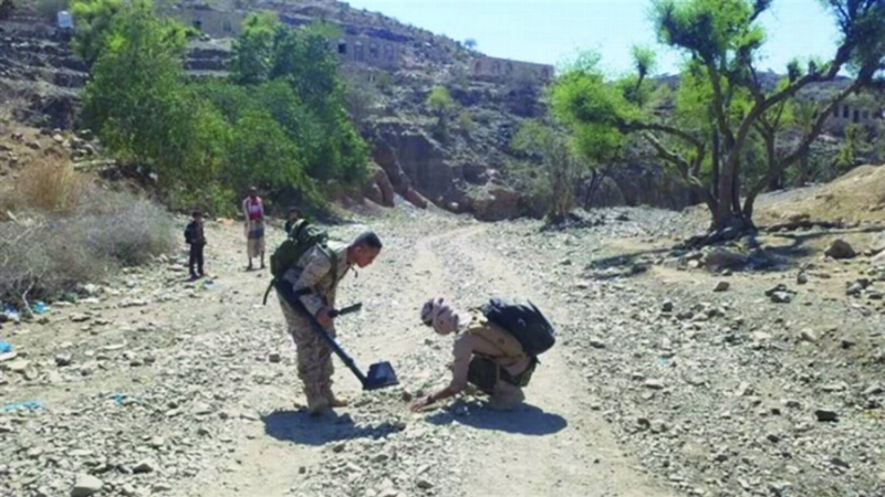 عملية نزع ألغام الحوثي بتعز (مكة)