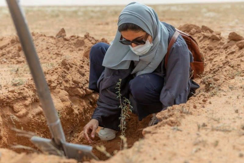 حملة تشجير المحمية