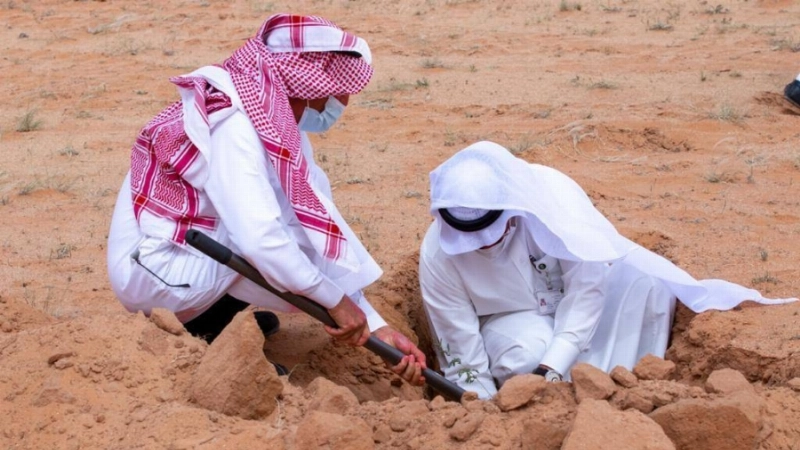 حملة تشجير المحمية