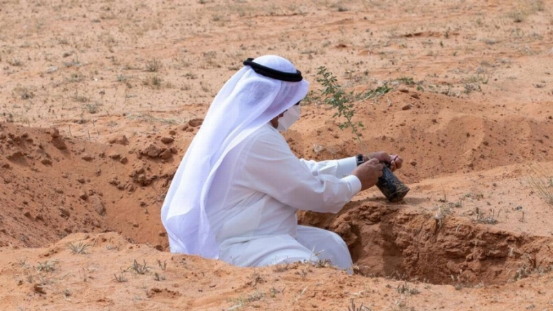 حملة تشجير المحمية