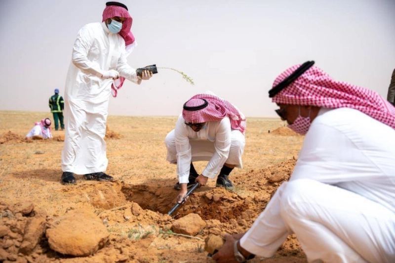 حملة تشجير المحمية