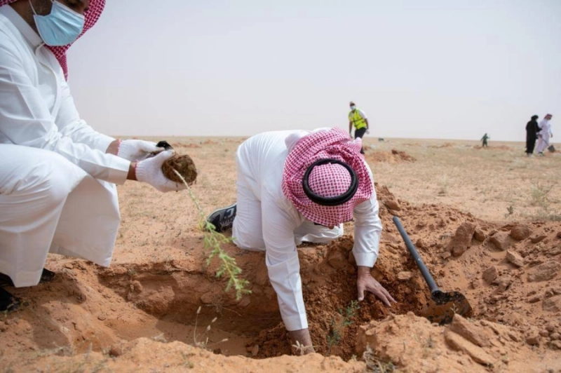 حملة تشجير المحمية