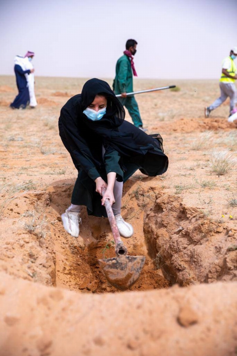 حملة تشجير المحمية