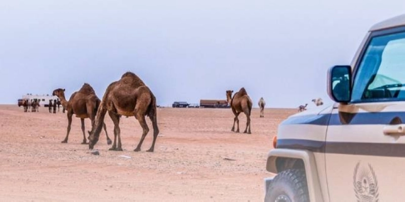 الأمن البيئي خلال ضبط المخالفين (مكة)