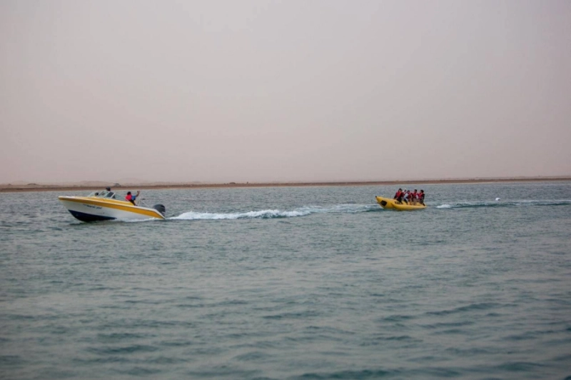 السياح في ينبع