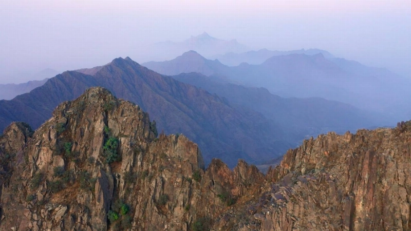 الباحة