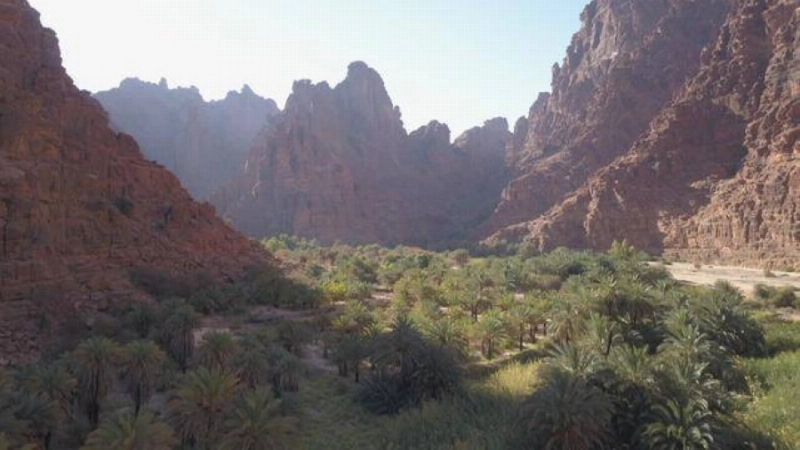 صيف السعودية