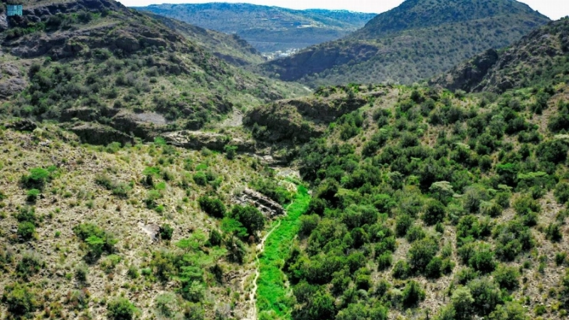 عسير