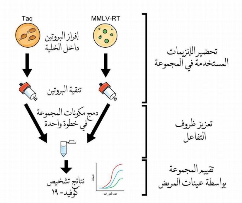 رسم توضيحي لمشروع البروفيسور سمير حمدان وزملاؤه في فريق الاستجابة البحثية السريعة
