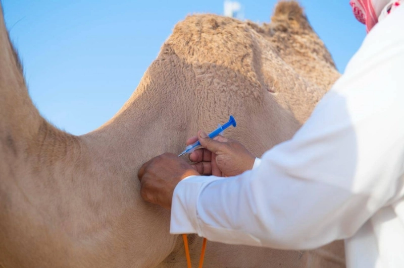 التمهيد لتركيب الشريحة