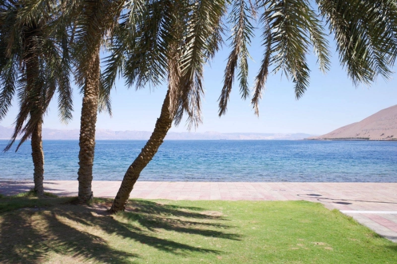 شواطئ تبوك البكر.. مقصد سياحي لمحبي الاسترخاء والهدوء في "صيف السعودية"