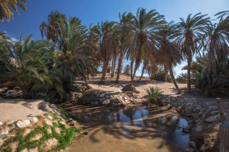 وادي العيون بتبوك