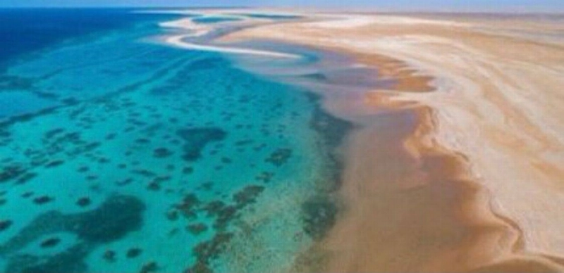شاطئ "قيال" بتبوك