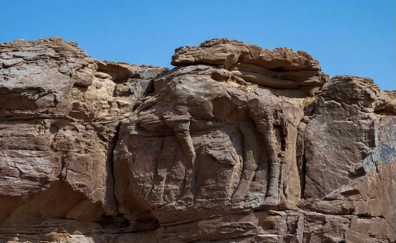 موقع الجمل
