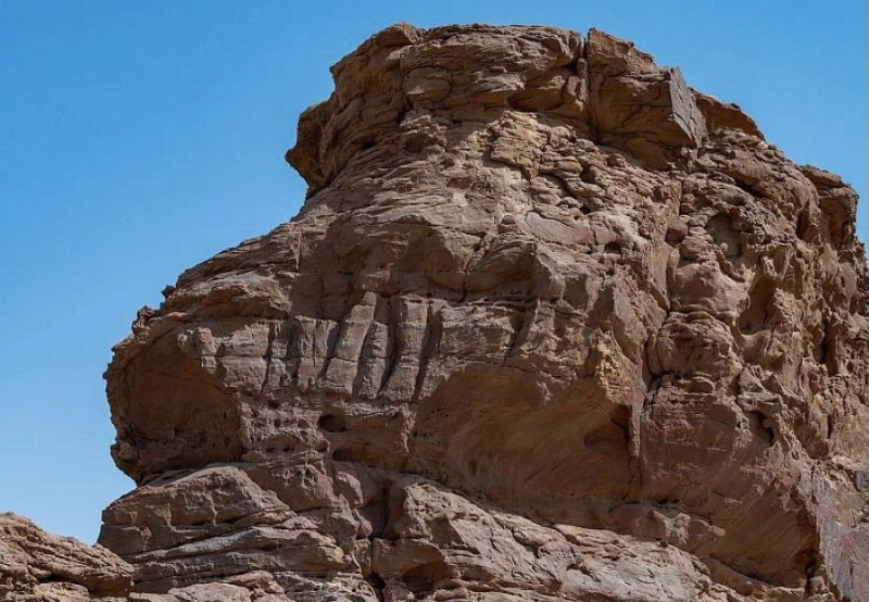 موقع الجمل