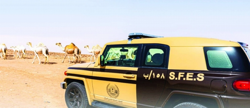 ضبط مخالفي الرعي (مكة)