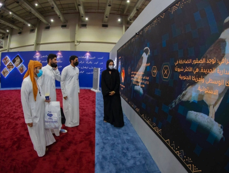 شرح للزوار عن تاريخ الصقور