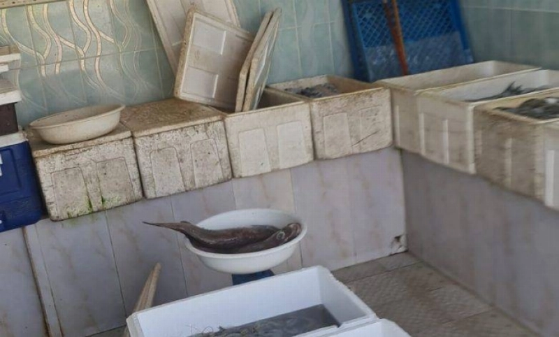 أسماك فاسدة (مكة)