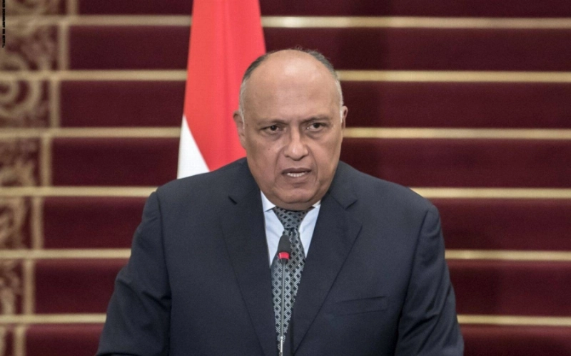 سامح شكري (د ب أ)