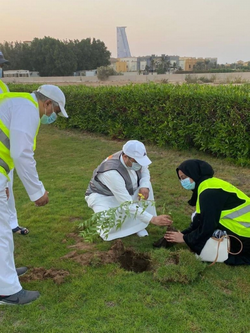 متطوعون يغرسون إحدى الشتلات (مكة)