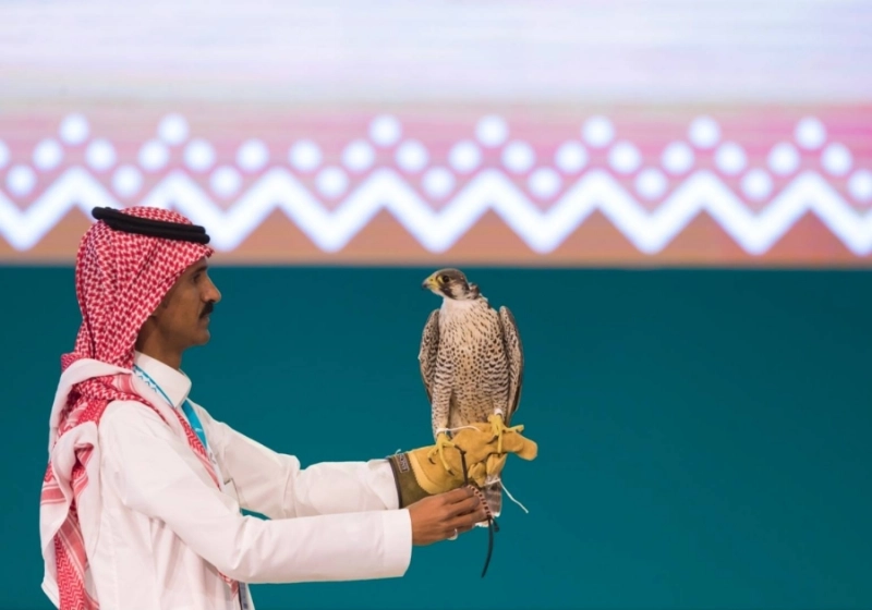 طرح شاهين في 10 دقائق وبيعه بـ 51 ألفاً في مزاد نادي الصقور السعودي