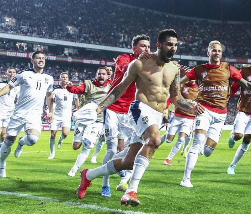 لاعب صربيا ميتروفيتش بعد تسجيله هدفا قاتلا في مرمى البرتغال (د ب أ)