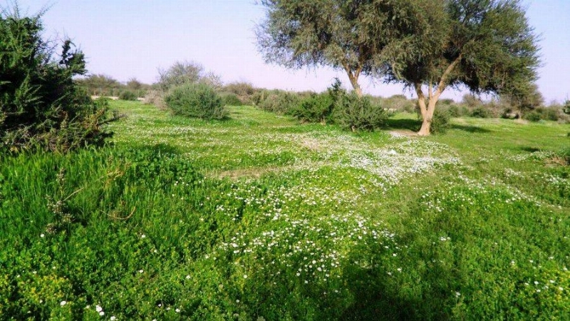 جانب من روضة خريم (مكة)
