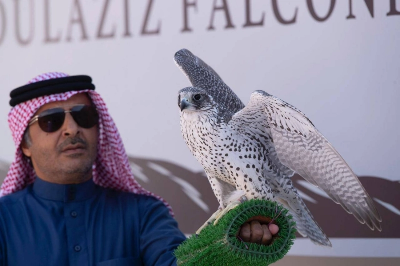 مهرجان الملك عبدالعزيز للصقور يختتم مسابقاته بمشاركة 2110 صقور