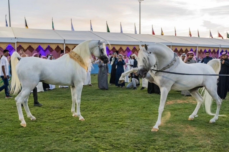 من عرض جمال الخيل العربية الأصيلة بمركز الملك عبدالعزيز