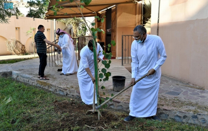 من أعمال التشجير (مكة)