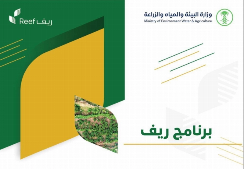 برنامج ريف