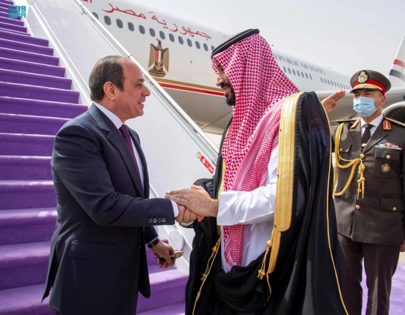 الأمير محمد بن سلمان في حديث مع وزير خارجية مصر (واس)