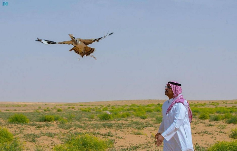 محمية الملك عبدالعزيز (مكة)