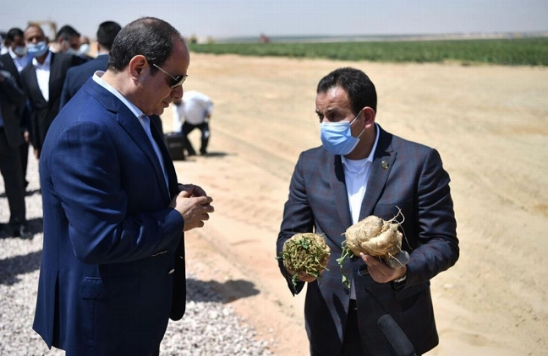 السيسي لدى افتتاح مشروع مستقبل مصر للإنتاج الزراعي (مكة)
