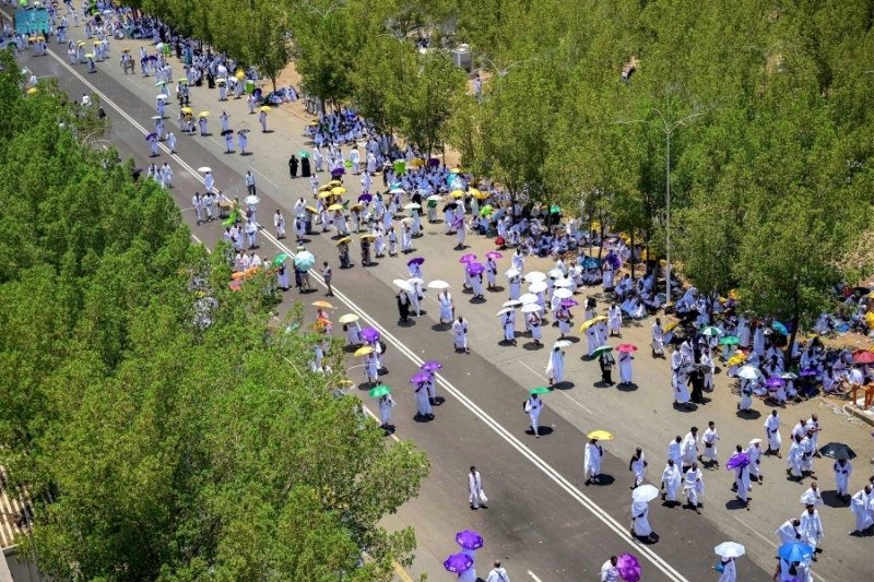 DST_1758259_3378265_40_4_2022070812473191