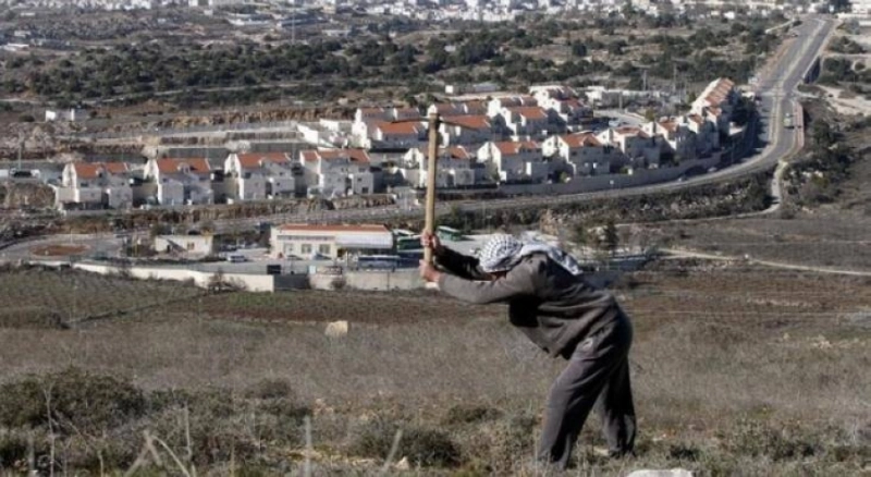 مزارع فلسطيني أمام مستوطنات بالضفة (مكة)