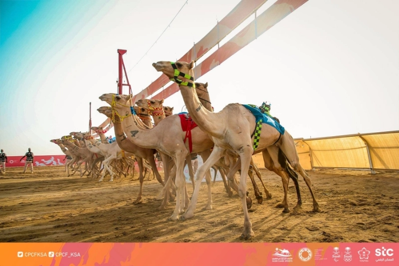 من سباقات المهرجان في الطائف (واس)