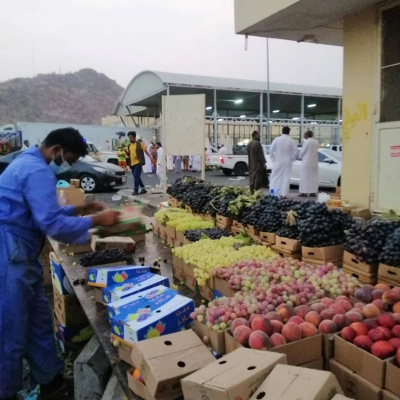 من الجولات الرقابية