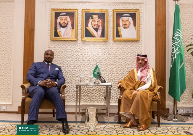 فيصل بن فرحان لدى استقباله دينيس كريستل ساسو نغيسو (واس)