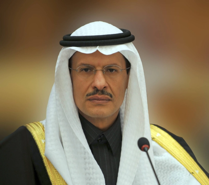 Assistant to the Saudi Minister of Petro