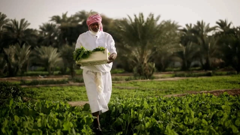 جمعية التنمية البيئية (فسيل)
