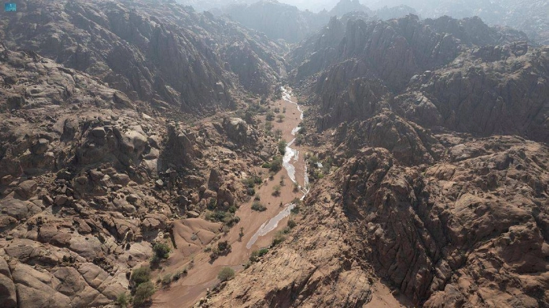 محمية الملك سلمان (مكة)