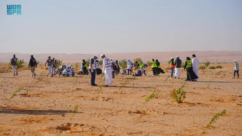 حملات بيئية للنظافة تنطلق من المحمية (مكة)