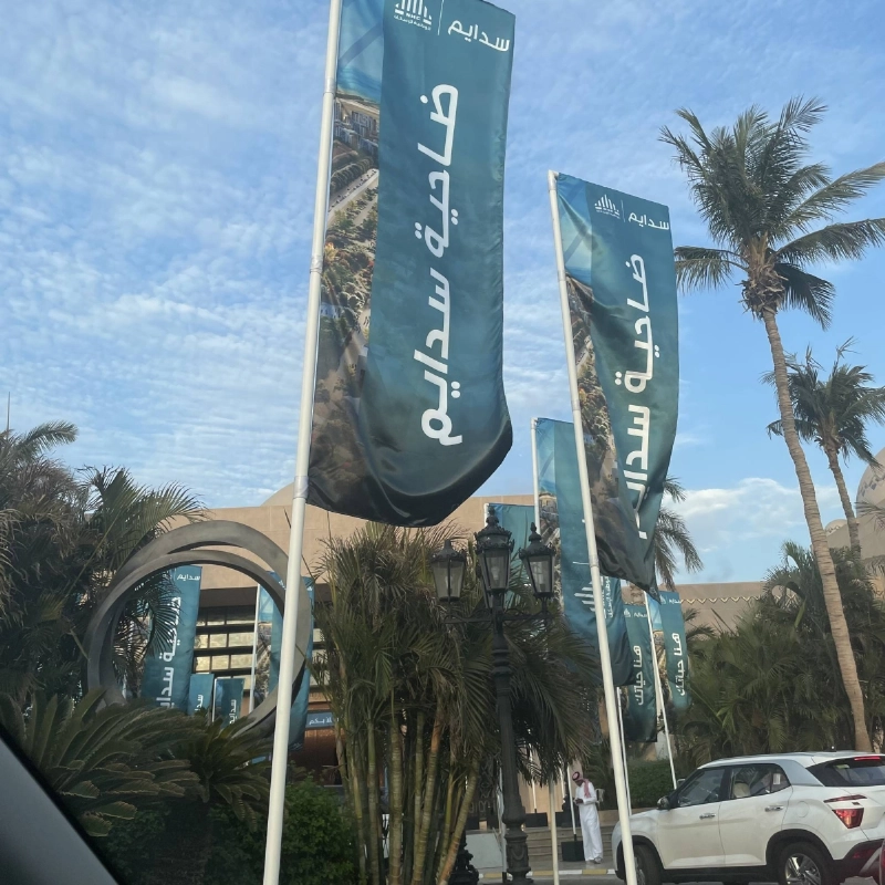 ضاحية سدايم