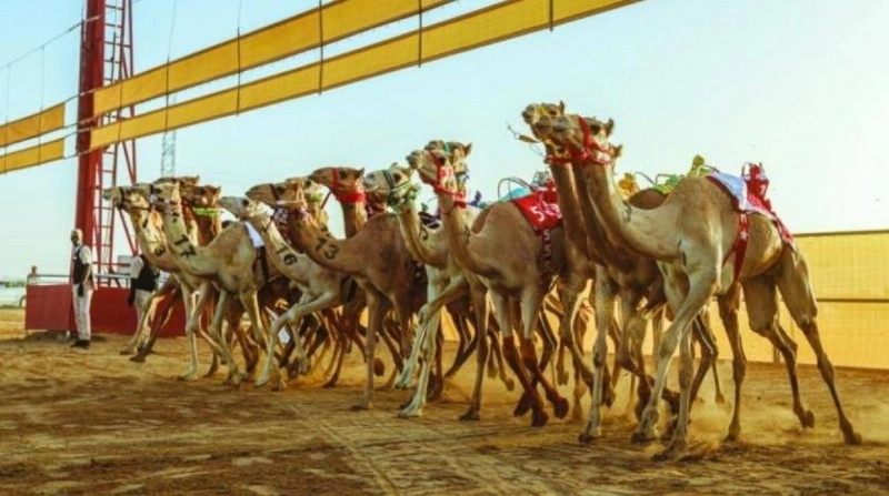 جاهزية كاملة للسباق (مكة)