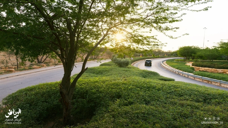 تحسين جودة الحياة بزيادة المساحات الخضراء