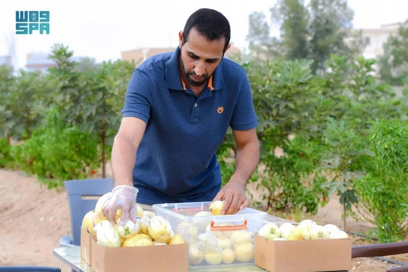 من هاوٍ إلى مستثمر محتمل (مكة)